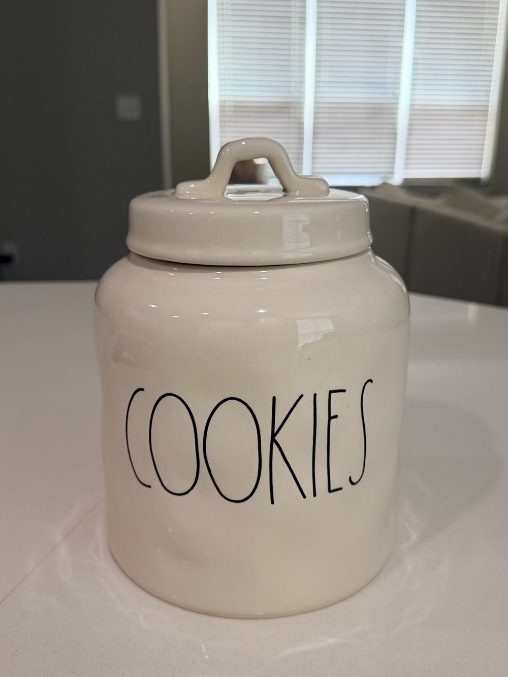 Rae Dunn Cream Ceramic COOKIE Canister with Lid